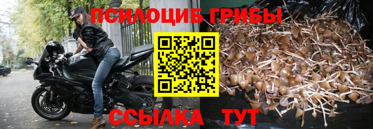 Галлюциногенные грибы прущие грибы Сальск