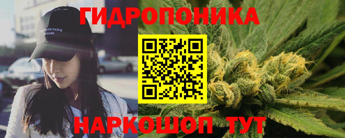 Бошки марихуана OG Kush  Вход с VPN  Сальск  Шишки марихуана план 